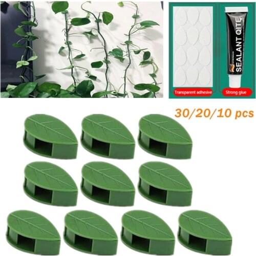 30/20/10pcs Plant Green Fixation Plant Vine Green Dill Wall Climbing Artifact Vine Climbing Wall Hanging Stereotyped Home Garden