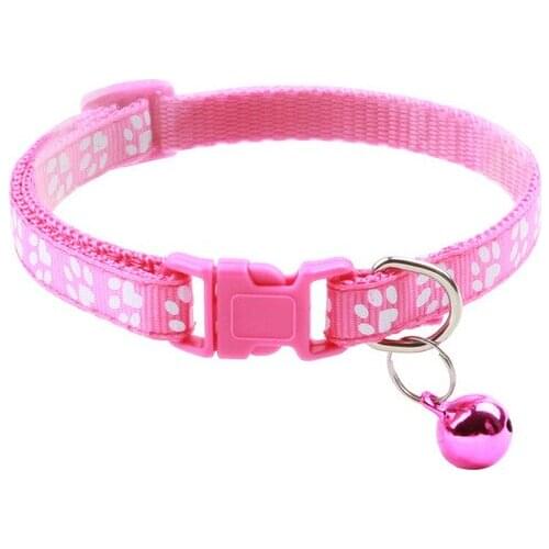 Star pets product workshop