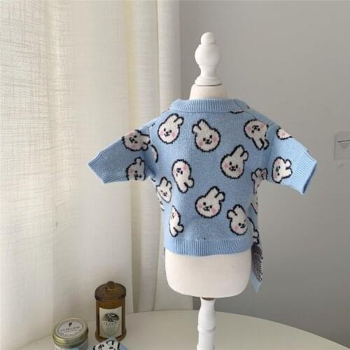 2021 New Dog ClothesCat Clothes Teddy Bichon Schnauzer Clothes Rabbit Cartoon Cute Pet Sweater