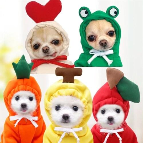 Winter Dog Cat Coat Jacket Fruit Pet Costume for Cat Puppy Yorkie Poodle Clothes Small Dog Sweatshirt Hoodies Mascotas Costumes