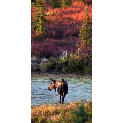 Free Shipping!North American Moose Background Printed Soft Bamboo Fiber Sport&Bath Towels for Adults_Size:35CMX70CM