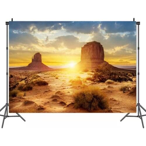 Desert Huge Building Sunset Landscape Backdrops Photos Background Decor for Portrait Photography Photocall Studio Props