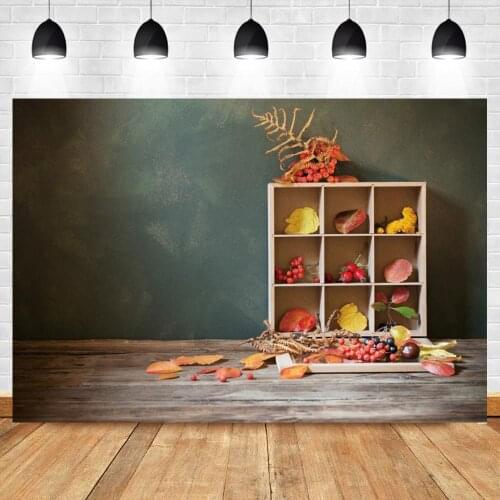 Fall Newborn Baby Shower Photography Backdrops Wooden Shelf Interior Room Scenic Art Photo Backgrounds For Kids Pets Photoshoot