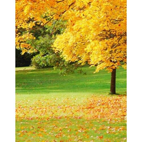 Landscape Yellow Trees Autumn Photography Backdrops Photo Props Studio Background 5x7ft