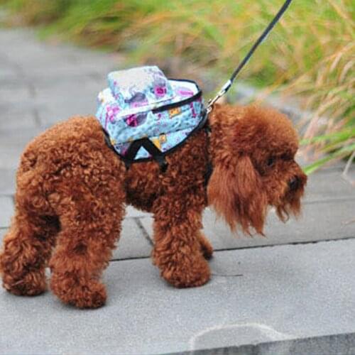 Cartoon Canvas Dog Backpack with Harness Puppy Cat Leash Portable School Bag Pet Printed Carriers Pet Backpacks Supplies S-M