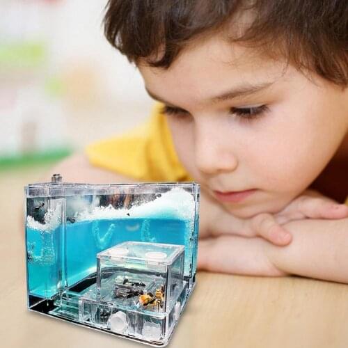 Pet Toy Villa Transparent Habitat Funny Art Decoration Feeding Area Specially Kids Gift Ant Nest Ant Farm Ants House Biology