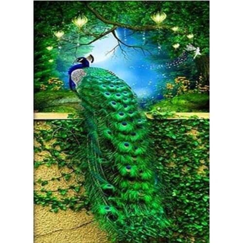 5D DIY Diamond Painting Cross Stitch Kit Square Round Diamond Embroidery Mosaic Peacock Figure Home Decoration Gift WG2241