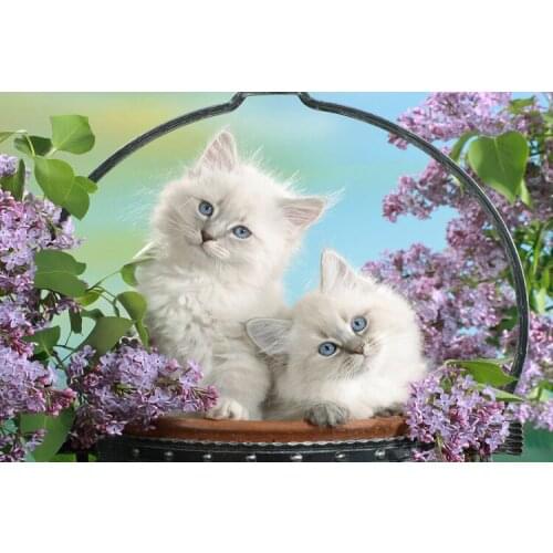 Two cats The wooden puzzle 1000 pieces ersion jigsaw puzzle white card adult childrens educational toys