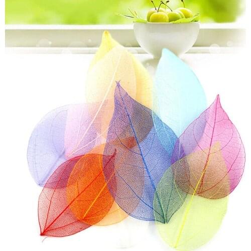 20 Pieces Crafts Pressed Dried Leaves Golden Natural Skeleton Leaves DIY Scrapbooking Wedding Party Festival Decoration Supply