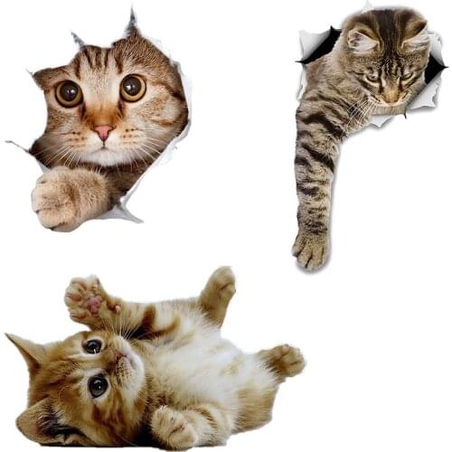 Three Ratels CM29 Lovely cat Persian cat Birman Bombay British Shorthair Burmese wall sticker for home decoration car sticker