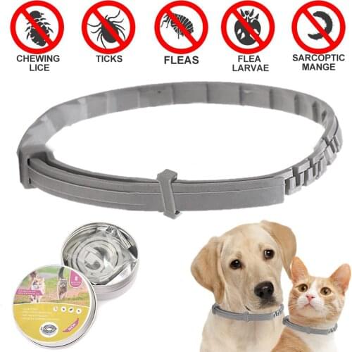 Despitego Collars