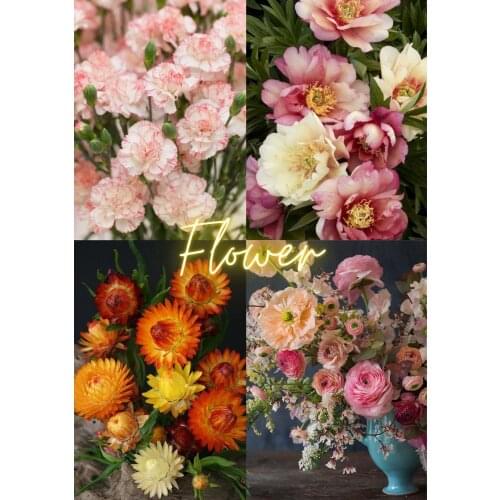 Landscape Flower Art Home Decoration Cross Stitch Cotton Thread DIY Needlework Handmake GIft Embroidery Kits 11CT Printed Canvas