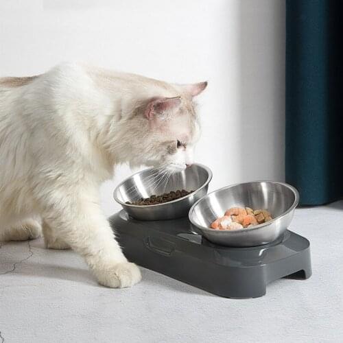 Bowls Stainless Steel Pet Feeding Bowl Double Feeder Bowls For Dogs Drinking Bowls 15 Degree Tilt