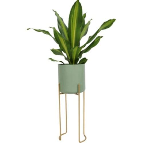 Nordic ins fashion floor flower stand monstera spring feather bamboo taro homestay design studio studio custom