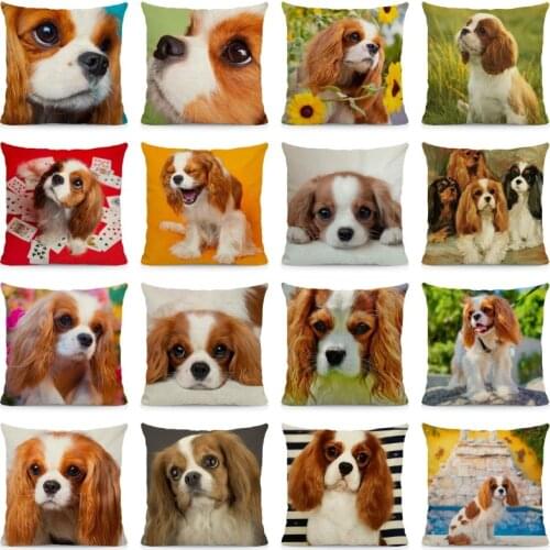 XUNYU Cute Cavalier King Charles Spaniel Pillowcase Home Decoration Throw Pillow Covers Dog Pattern Cushion Cover 45x45cm DWG056