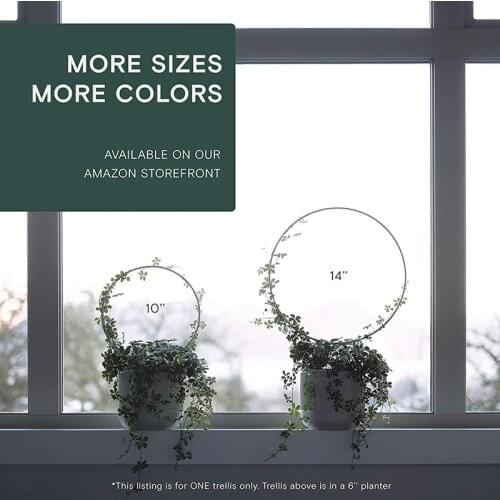 Plant Support Garden Climbing Stake Circle Round Shape Stand Frame Vine Rack For Mini Indoor Plants Flowers Vegetables