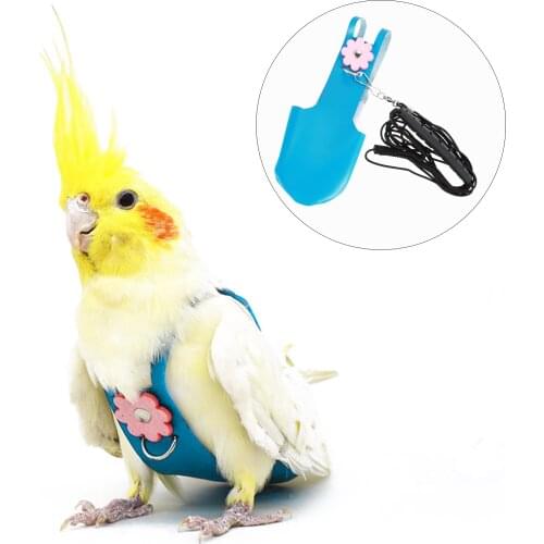 Кольца для птиц UEETEK China At AliExpress