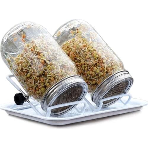 Stainless Steel Strainer Sprouting Lid For Wide Mouth Canning Jars