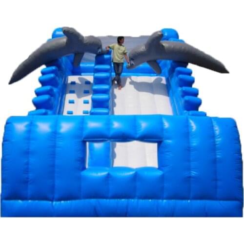 New design giant inflatable dry slide for adult and kids