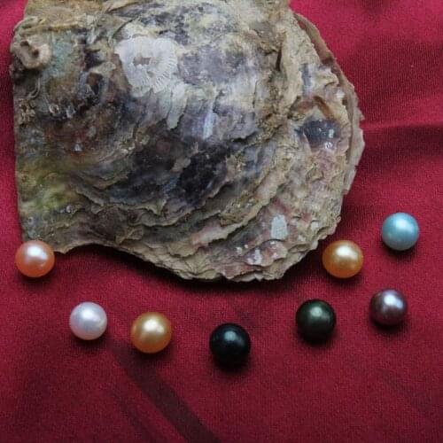 Akoya Oyster with Round Pearls 7-8MM Single Vibrant Rainbow Pearls in Saltwater Oyster 20pcs Vacuum Packed Wish Pearls FP415