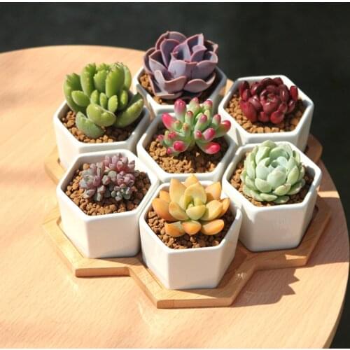Reusable DIY Silicone Flower Pot Mold Easy Demould Making Plants Pot Molds for Household Garden Grass Supply