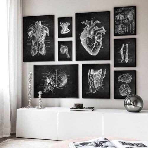 Human Anatomy Artwork Wall Picture Organ Muscle Skeleton Nordic Canvas Print Vintage Poster Art Painting Medical Clinic Decor