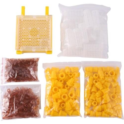 Complete Bee Queen Rearing Box System Cage Cell Holder Queen Cell Cup Bee Breeding Kit Beekeeping Tool Feeding Kit