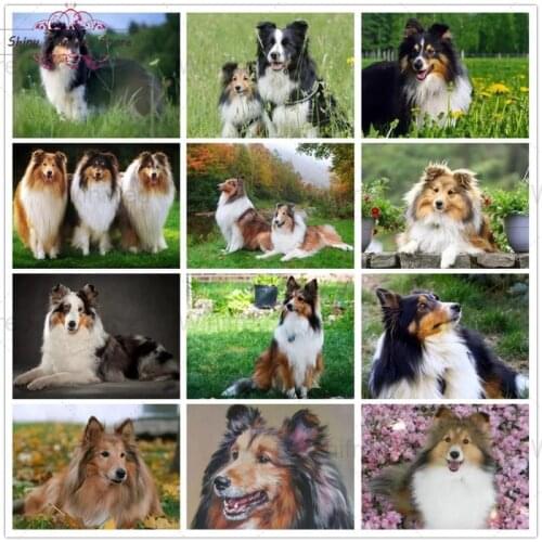5D Diamond Painting Dog Cross Stitch Kit Diamond Embroidery Rhinestone Dog Border Collie Pet Animal Mosaic Art Picture DIY Gift