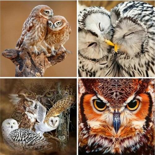 Huacan Full Diamond Embroidery Owl Diamond Painting Mosaic Cross Stitch Animals Picture Of Rhinestones Home Decoration