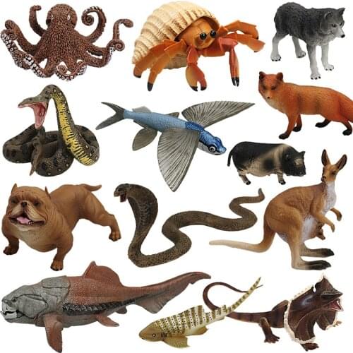 1pc Animal Model Action Figures Zoo Park Simulation Tiger Lion Fish Models for Kids Early Education Toy Dog Model