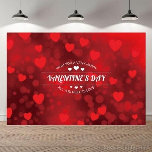 Valentines Day Love Heart Red Wedding Backdrops Photography Sexy Women Lady Portrait Anniversary Photo Backgrounds
