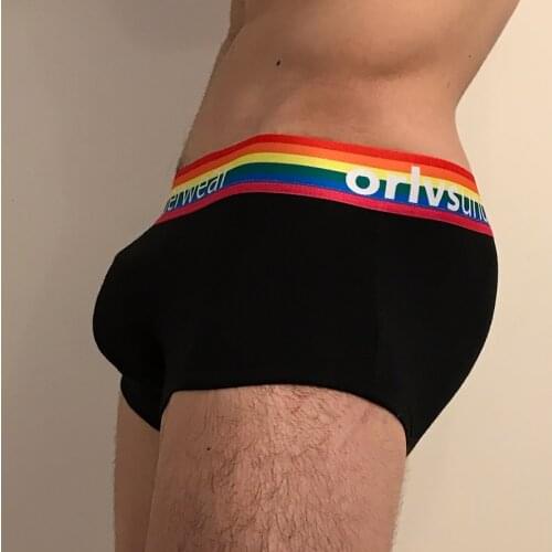 Men Underwear Men Boxer Shorts Cotton Breathable U Convex For Gay Comfortable Underpants Low Waist Sexy Bikini Quick Dry Soft