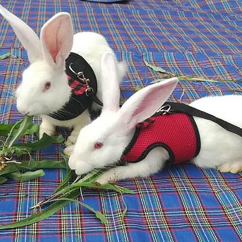 Small Animal Pet Mesh Leash Harnesses Cute Accessories Rabbit Leash Lead Vest Mesh Harness Leash Pet Strap S M L