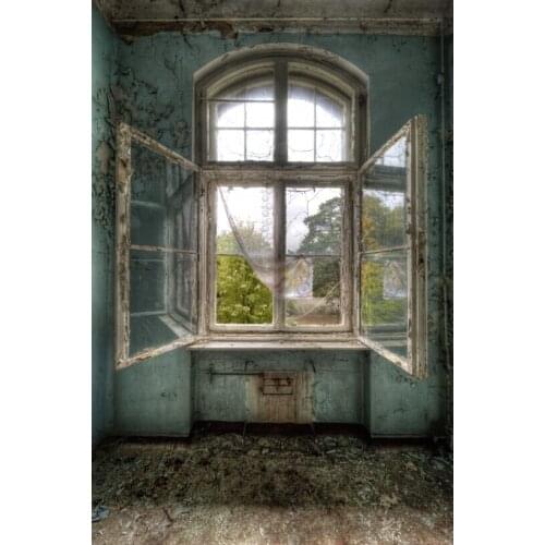 VinylBDS Retro Indoor Photography Backdrops Broken Windows Wedding Backdrops Background For Children Photo