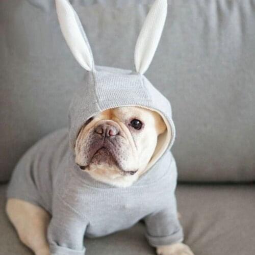 Pet Hooded Sweatshirt with Cute Bunny Ears Winter Warm Dog Clothes 2 Legs Puppy Cat Coat Jacket Hoodie Costume Outfit Apparel