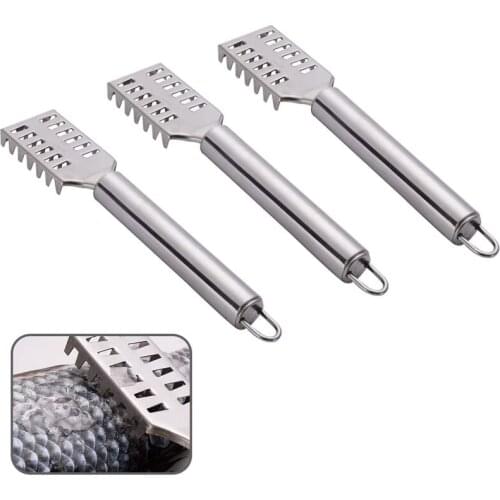 Set of 3 Fish Scalers, Remover, Fish Scale Scraper, Stainless Steel Fish Scaler, Fish Scaler
