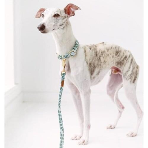 Small and Medium Dog Collars Corgi French Bulldog Schnauzer Shiba Inu Dog Leash Dog Leads Free Dog Tag Lettering Dog Accessories