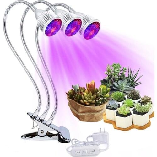 ZC-ECC Phytolamps For Plants