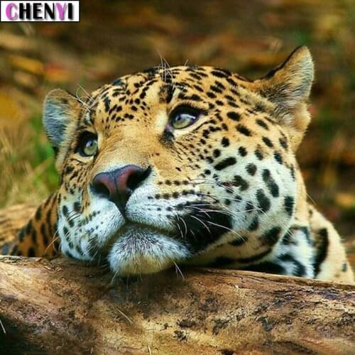 CHENYI Animal Leopard Diamond Painting Full Square Diy Diamond Embroidery Mosaic Picture of Rhinestone Needlework Art Home Decor