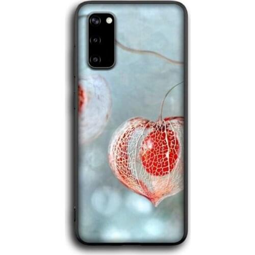 Physalis flower Phone Case for Samsung S6 S7 edge S8 S9 S20 S21 S30plus ultra S21/S30 S10-5G lite 2020 S10E