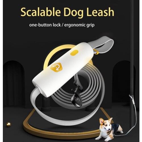 Reflective Dog Leash for Small Medium Dogs Leash Rope Hands Free Elastic Training Running Rope Leashes Pet Products for Pet Pug