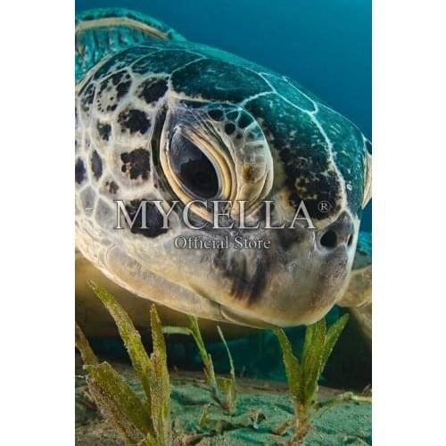 Animals Needlework 5D DIY Diamond Painting Cross Stitch Diamond Embroidery Jellyfish Sea turtle Full Round Rhinestone Mosaic Set