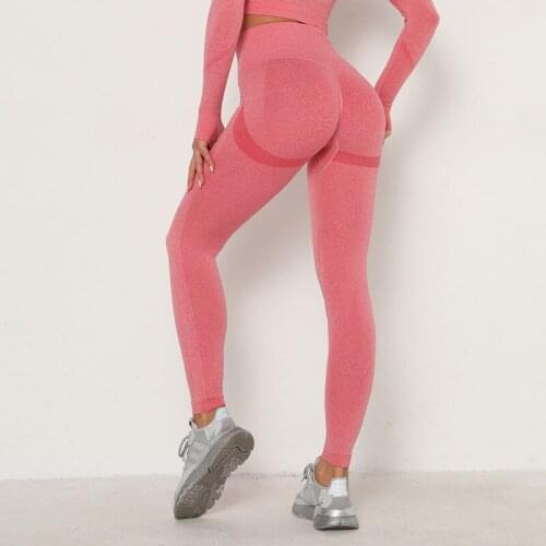 Seamless Yoga Clothes Women Gym Clothing Breathable Anti-sweat High Waist Butt Lifting Sport Pants Fitness Workout Leggings