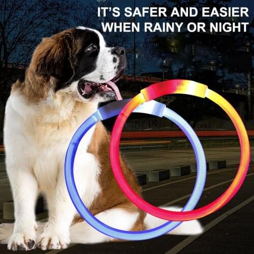 Big small Dogs Collar USB Charging Adjustable LED Rechargeable Night Flashing Luminous Plastic Solid Neck Collar for Dog