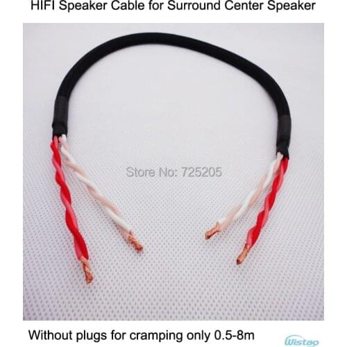 IWISTAO HIFI Speaker Cable for Music Center Surround Center Speaker With Japan origin Canare Cable No Plug DIY Free Shipping