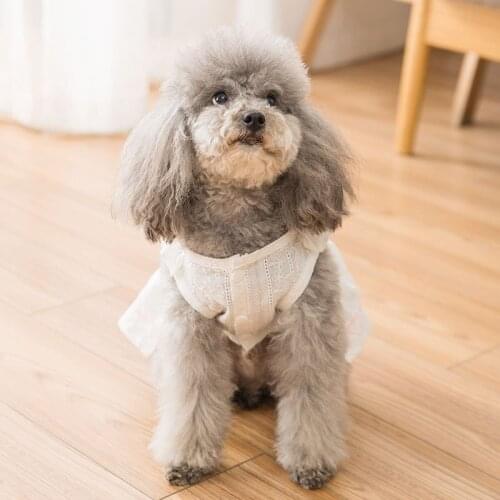 New cat clothes little daisy princess dress summer thin section Teddy bear small dog skirt breathable clothing