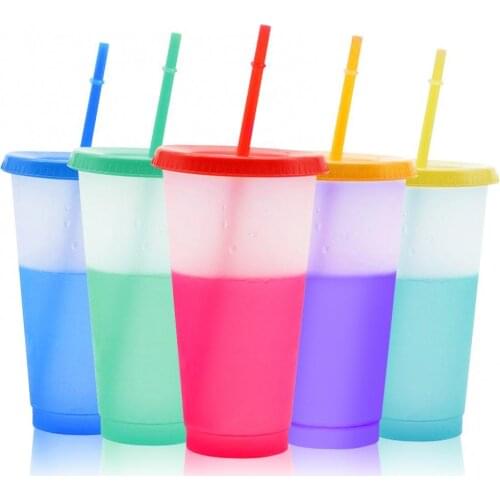 5Pcs/Set Reusable PP Straw Cup Water Bottle Cup with Straw Color-changing Drinking Cup Tumbler with Cleaning Brush Drinkware