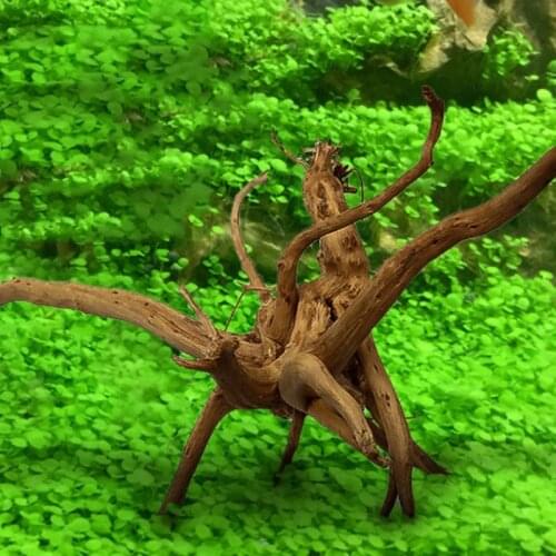 Aquarium Decoration Wood Natural Trunk Driftwood Tree Aquarium Fish Tank Plant Stump Ornament Landscap Decor