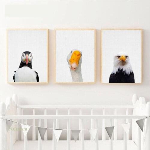 Puffin Bird Goose Eagle Canvas Posters Modern Home Decor Cute Animal Wall Painting And Pictures For Nursery Kids Room