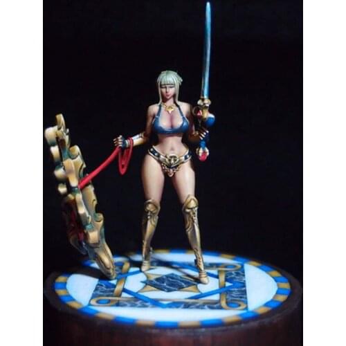 GK white mold hand-made 30MM resin character full-body model Fantasy series Paladin GK white model R329